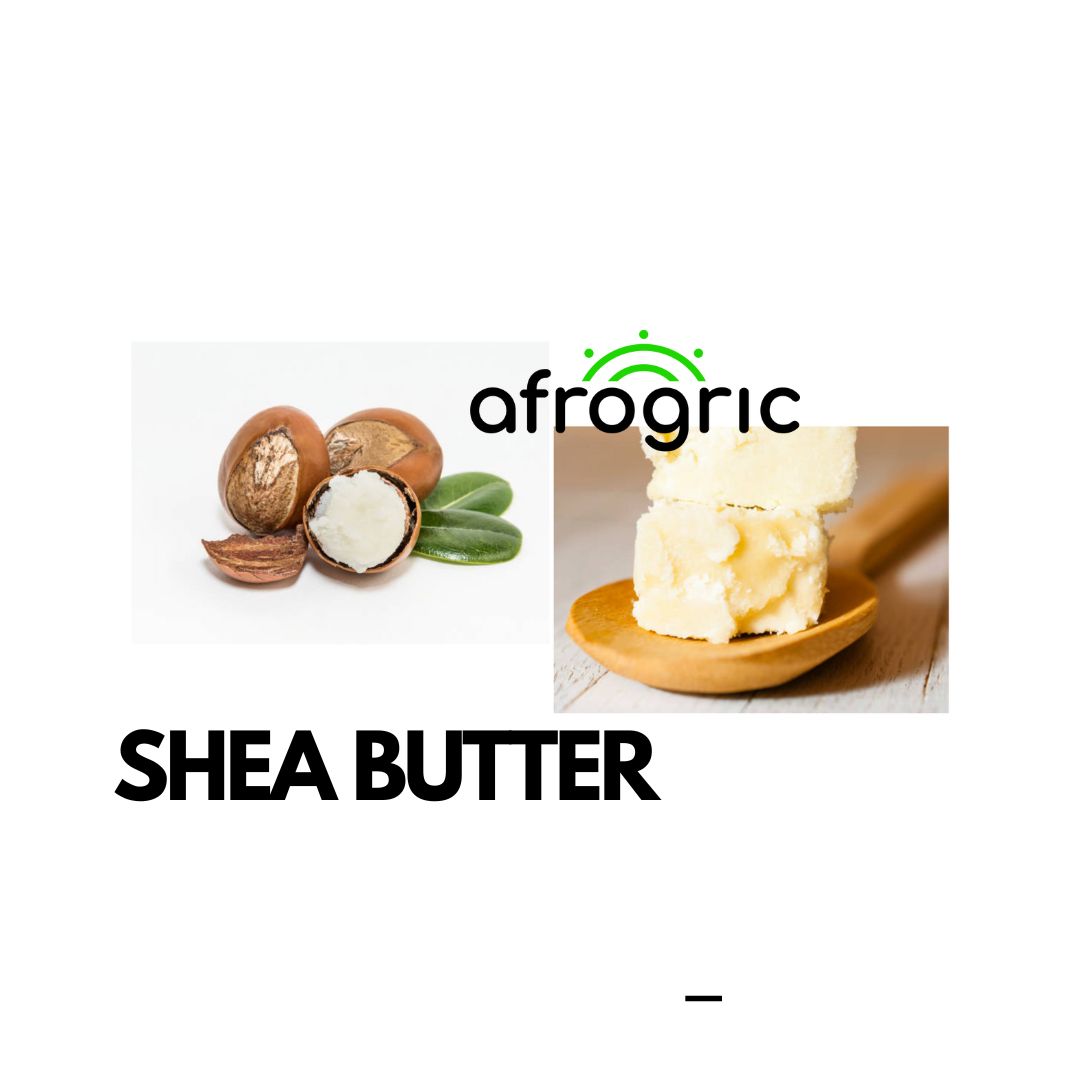 shea-butter