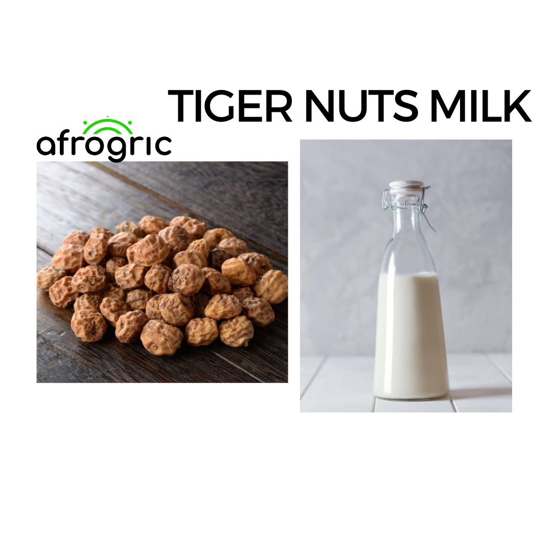 tiger-nuts-milk