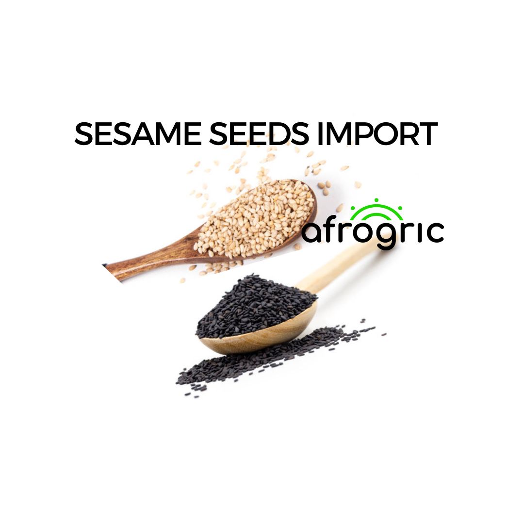 Sesame Seeds Import Who are the Sesame Seeds Importing Countries