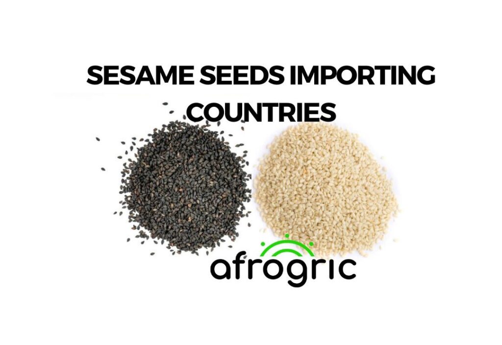 sesame-seeds-importing-countries